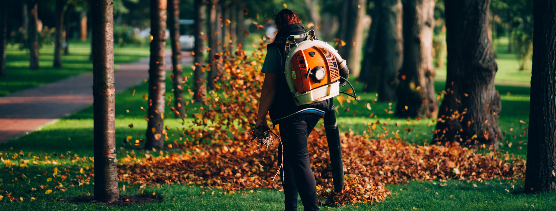 On la santé de votre terrain en main