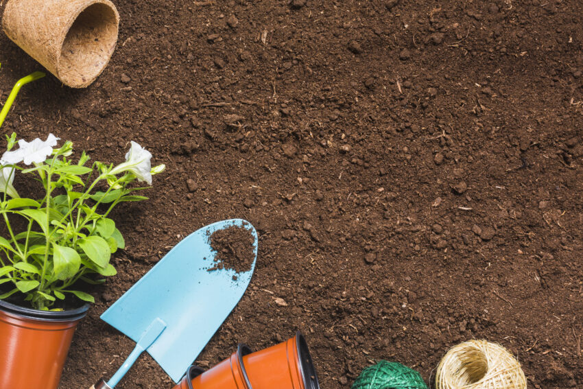 Nettoyage de plates-bandes et jardins